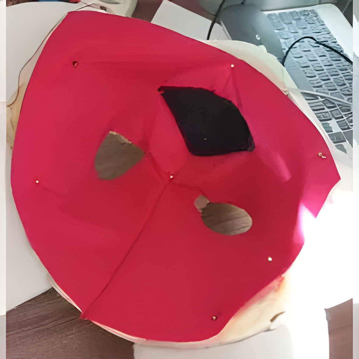 Fursuit to order (9)